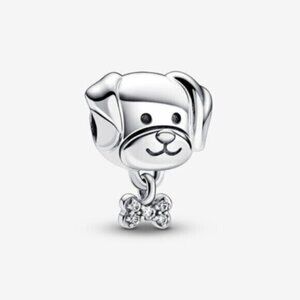 Pandora charms